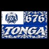 Tonga 676 Blue and Silver Royal Crest Flag